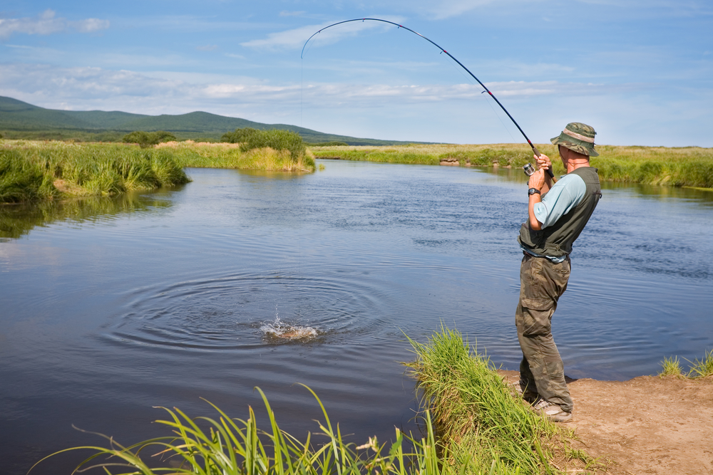 Fisherman catches of salmon (pink salmon) on the river mouth.